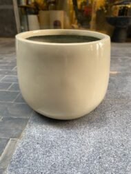 Ayco farma pot - Image 2