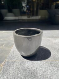 Bold Pot - Image 2