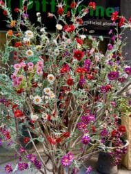 Baby flowers tree - Image 3