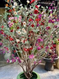 Baby flowers tree - Image 2