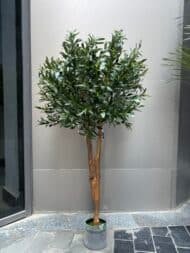 Olive natural look trunk