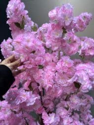 Pink cheery - Image 4