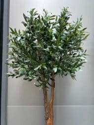 Olive natural look trunk - Image 3