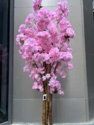 Pink cheery - Image 2