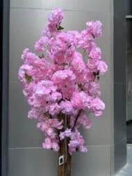 Pink cheery - Image 3