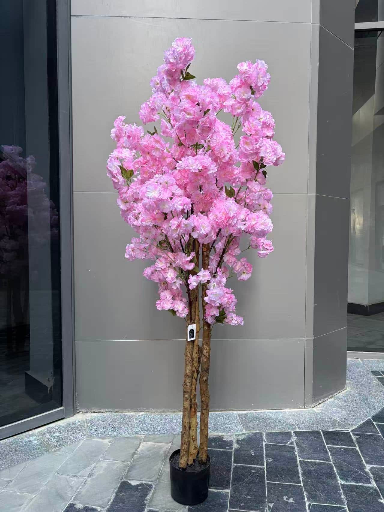 Pink cheery - Image 1