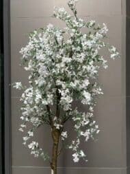 White Magnolia Tree