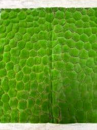 Artificial Moss Mat - Image 3