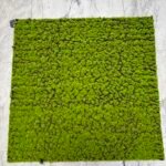 Artificial Bun Moss Mat