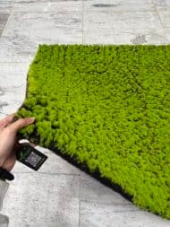 Artificial Bun Moss Mat - Image 3