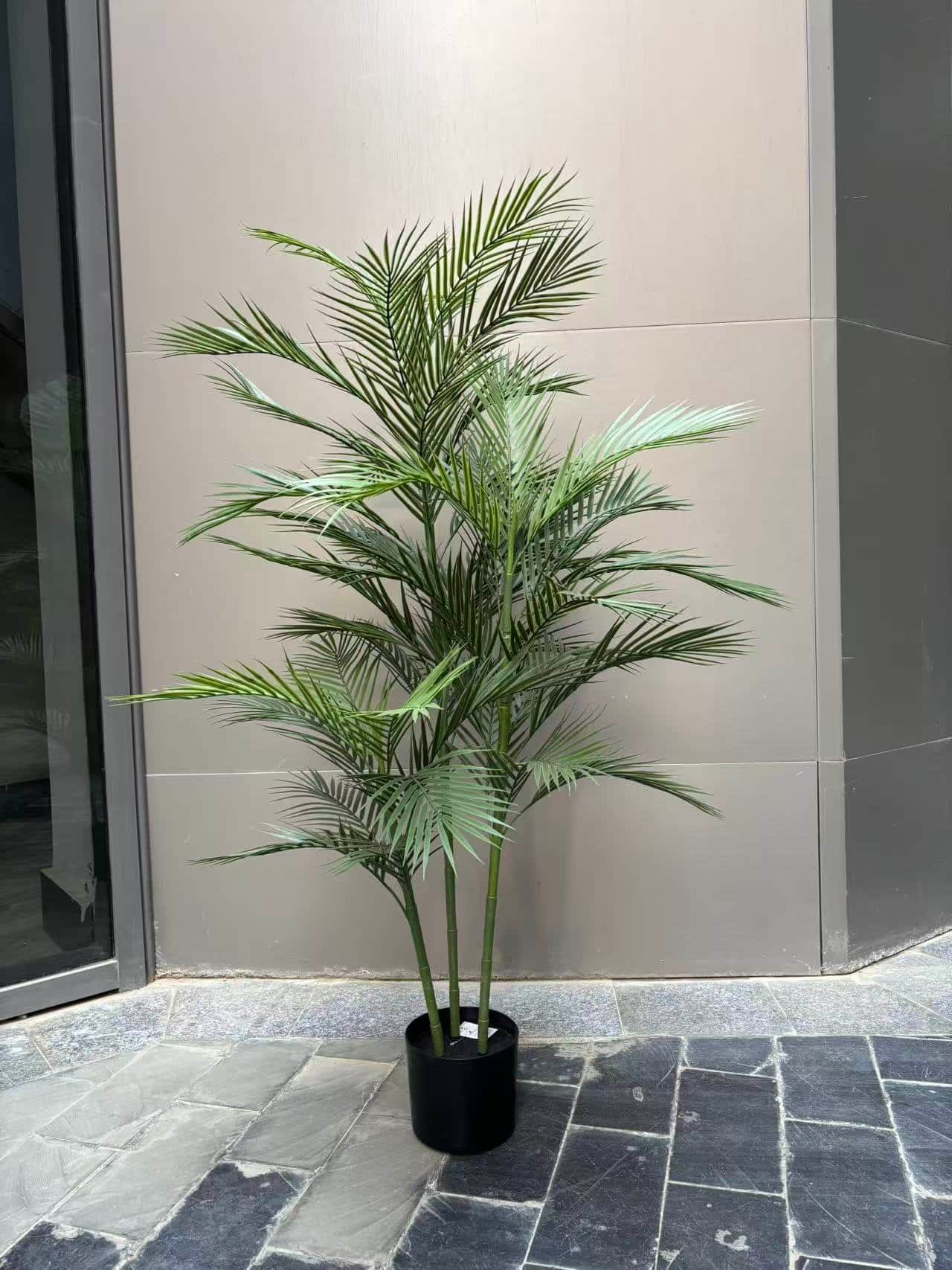 Image_20260106141158_137_1 Areca High Volume - Image 1