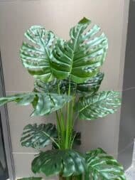Monstera tree - Image 3