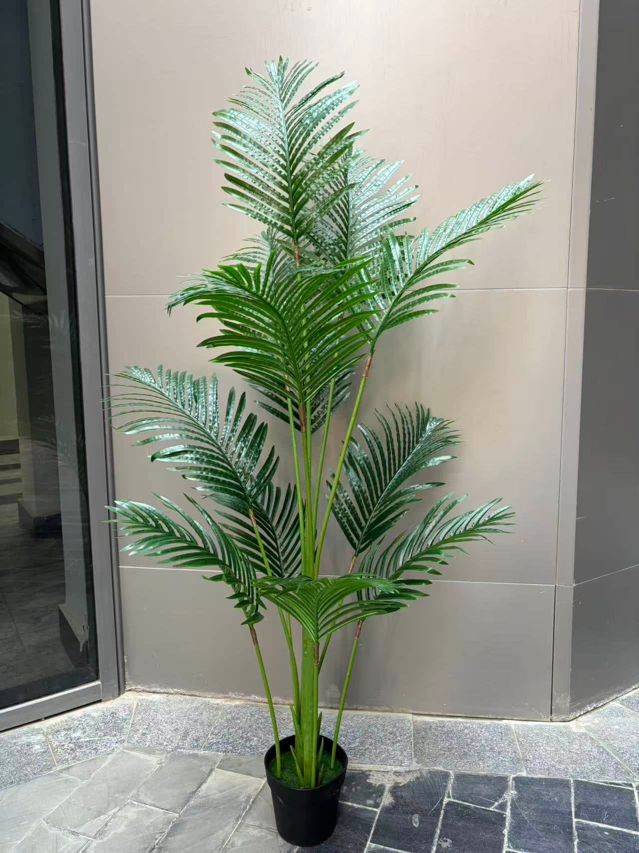 Image_20260106141213_149_1 Areca - Image 1