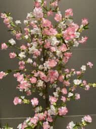 Sakura Blossom - Image 3