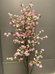 Sakura Blossom - Image 2