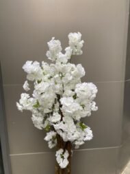 White cherry - Image 3