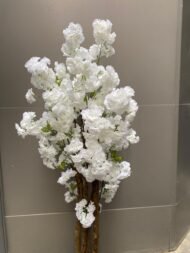 White cherry - Image 2