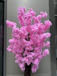 Cherry Blossom - Image 3