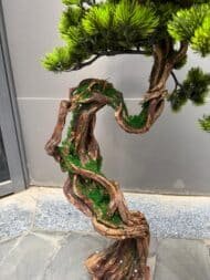 Bonsai - Image 3