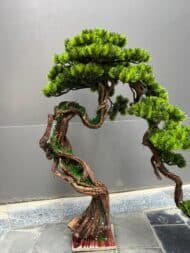 Bonsai - Image 2
