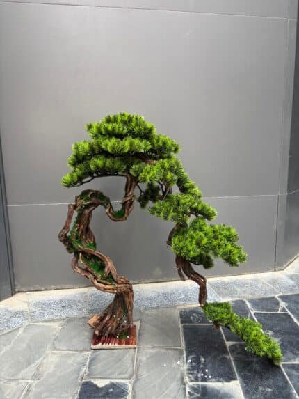 Bonsai