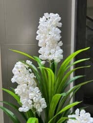 White Bloom Plant - Image 2