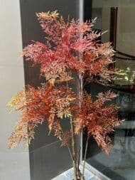Red Maple Style Plant - Image 3