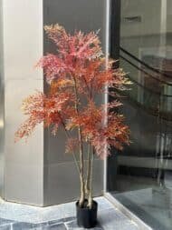 Red Maple Style Plant - Image 4