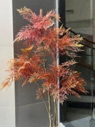 Red Maple Style Plant - Image 2