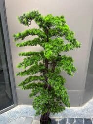 Bonsai - Image 3
