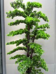 Bonsai - Image 2