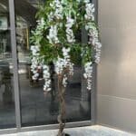 White Cascade Tree