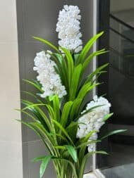 White Bloom Plant - Image 3