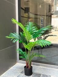 Palm tree