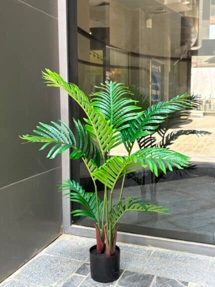 Palm tree