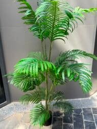 Tropical Palm Tree - Image 4