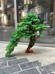 Bonsai