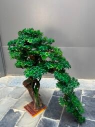 Bonsai - Image 4