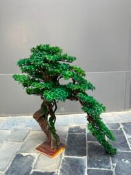 Bonsai - Image 5