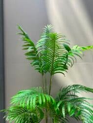 Tropical Palm Tree - Image 3