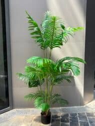 Tropical Palm Tree - Image 2